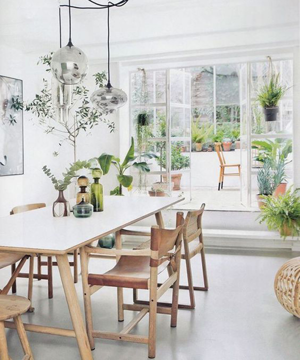 Consejos ecologicos para tu casa