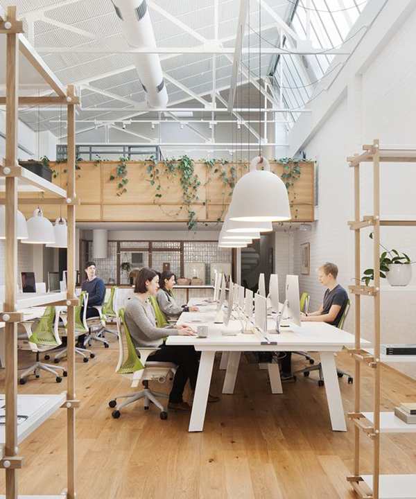 Interiorismo y Coworking