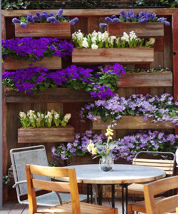 Jardines verticales y plantas en verano